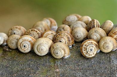 《巫师3》更新即将上线 PC端大约2GB