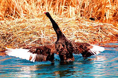 第三人称射击游戏《病毒特攻队》5月23日推出